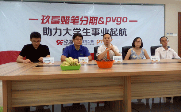 �����cPVGO�������s�xʽ